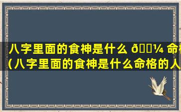 八字里面的食神是什么 🐼 命格（八字里面的食神是什么命格的人）